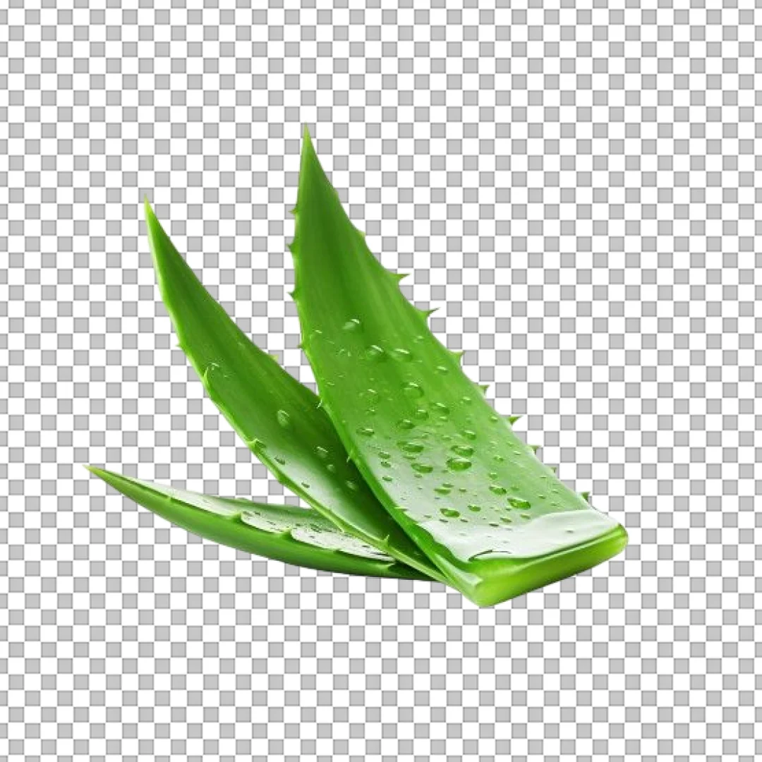Aloe Fresh PNG