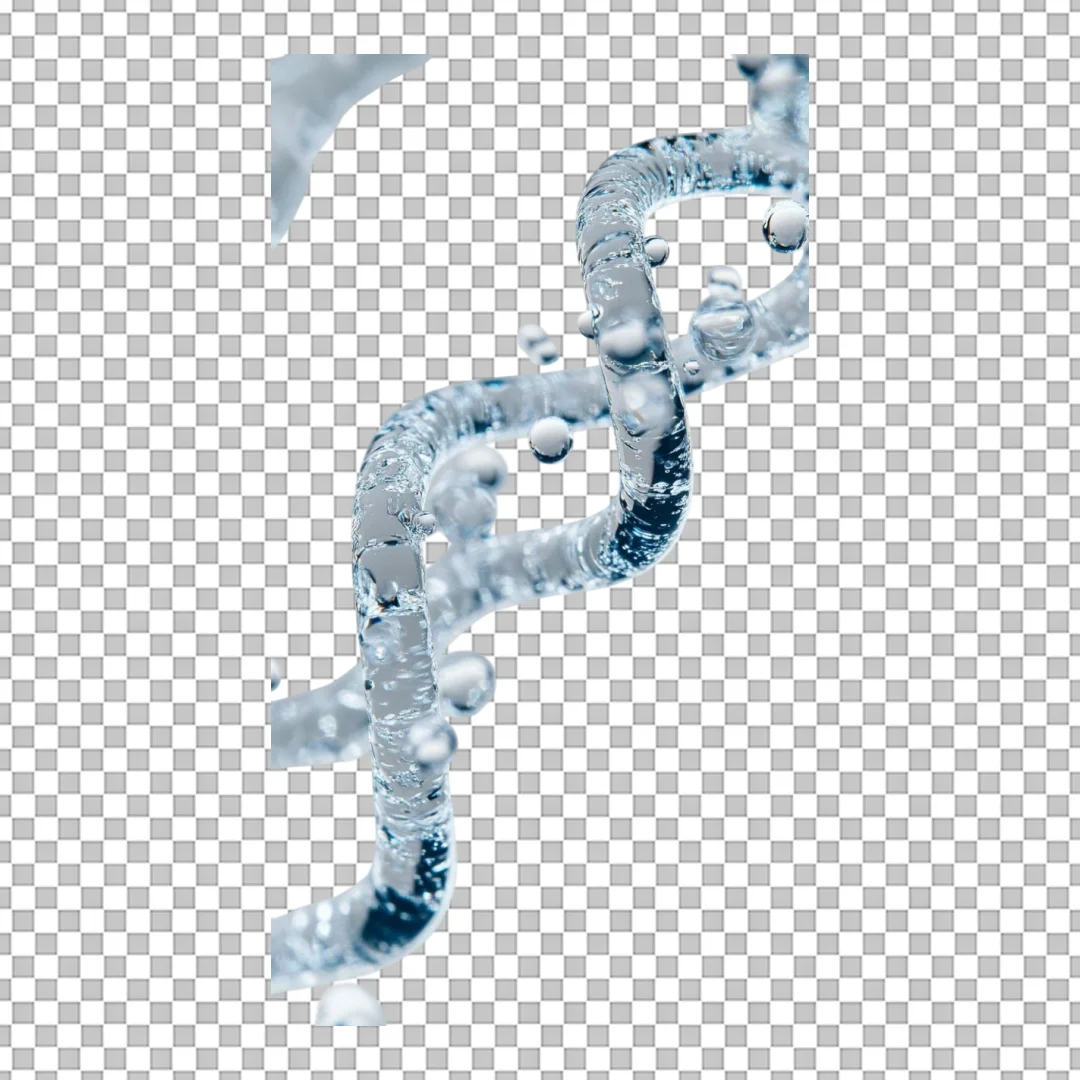 Water Bubble DNA Helix 3D Illustration PNG