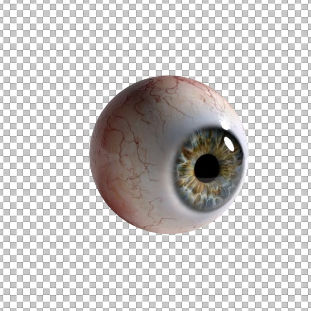 Realistic Human Eyeball with Veins PNG