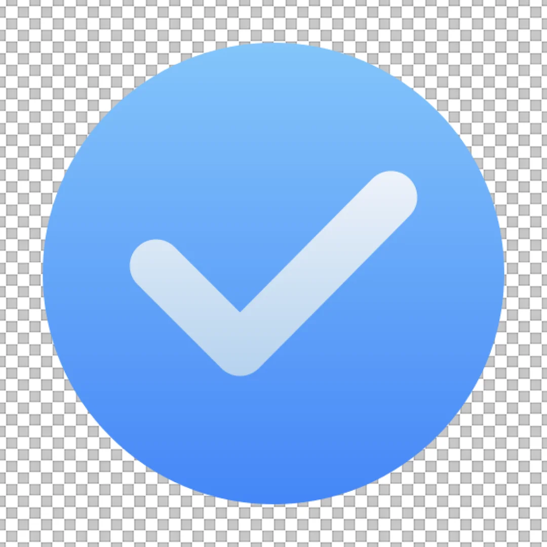 Modern Blue Verification Check Mark Icon