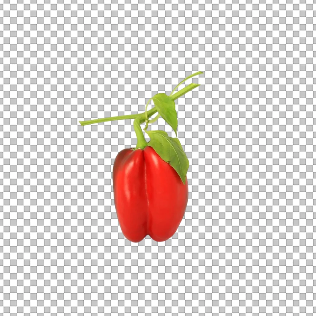 Fresh Red Bell Pepper Vegetable PNG