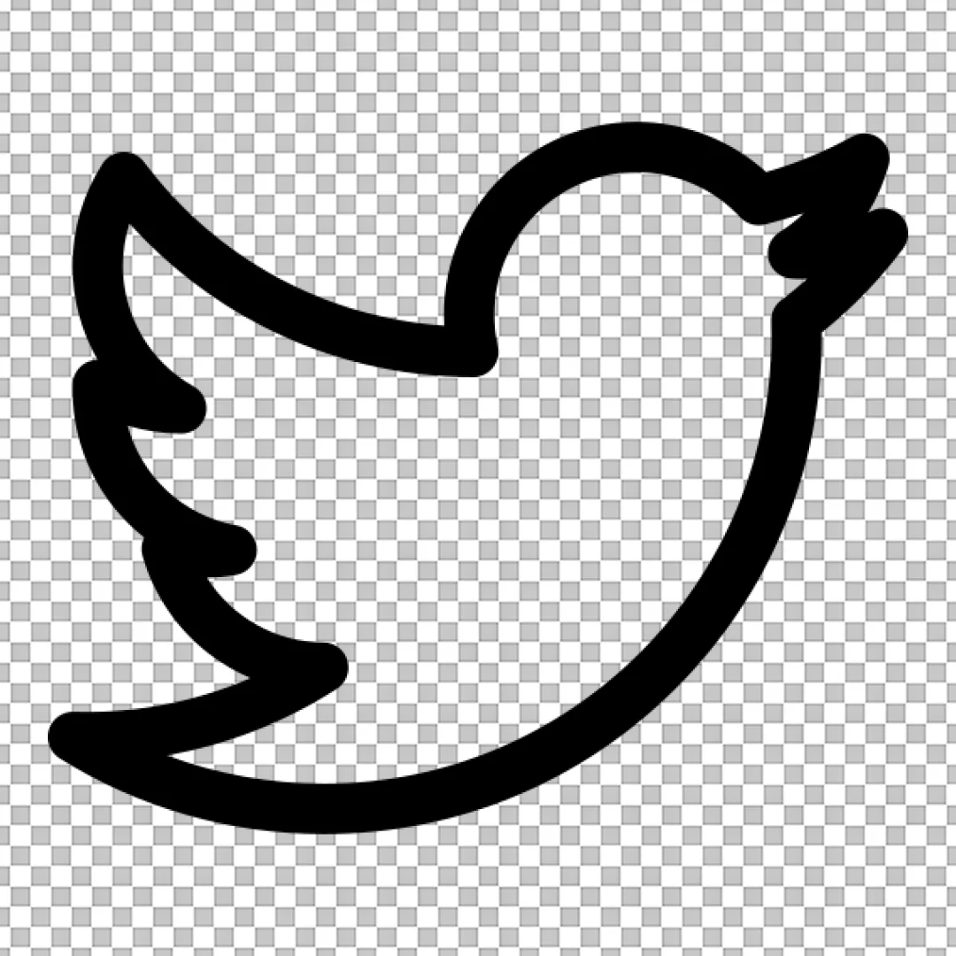 Solid Black Background