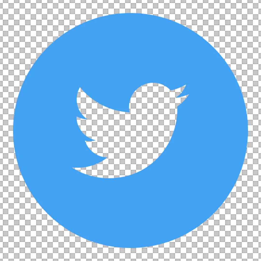 Classic Twitter Social Media Icon - Blue Bird Logo
