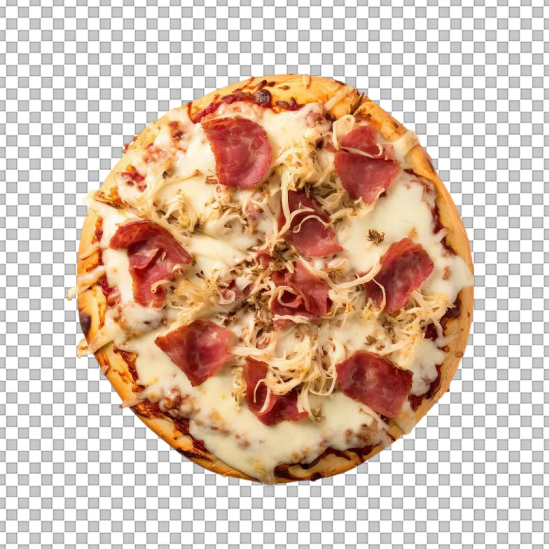 Salami and Sauerkraut Pizza PNG