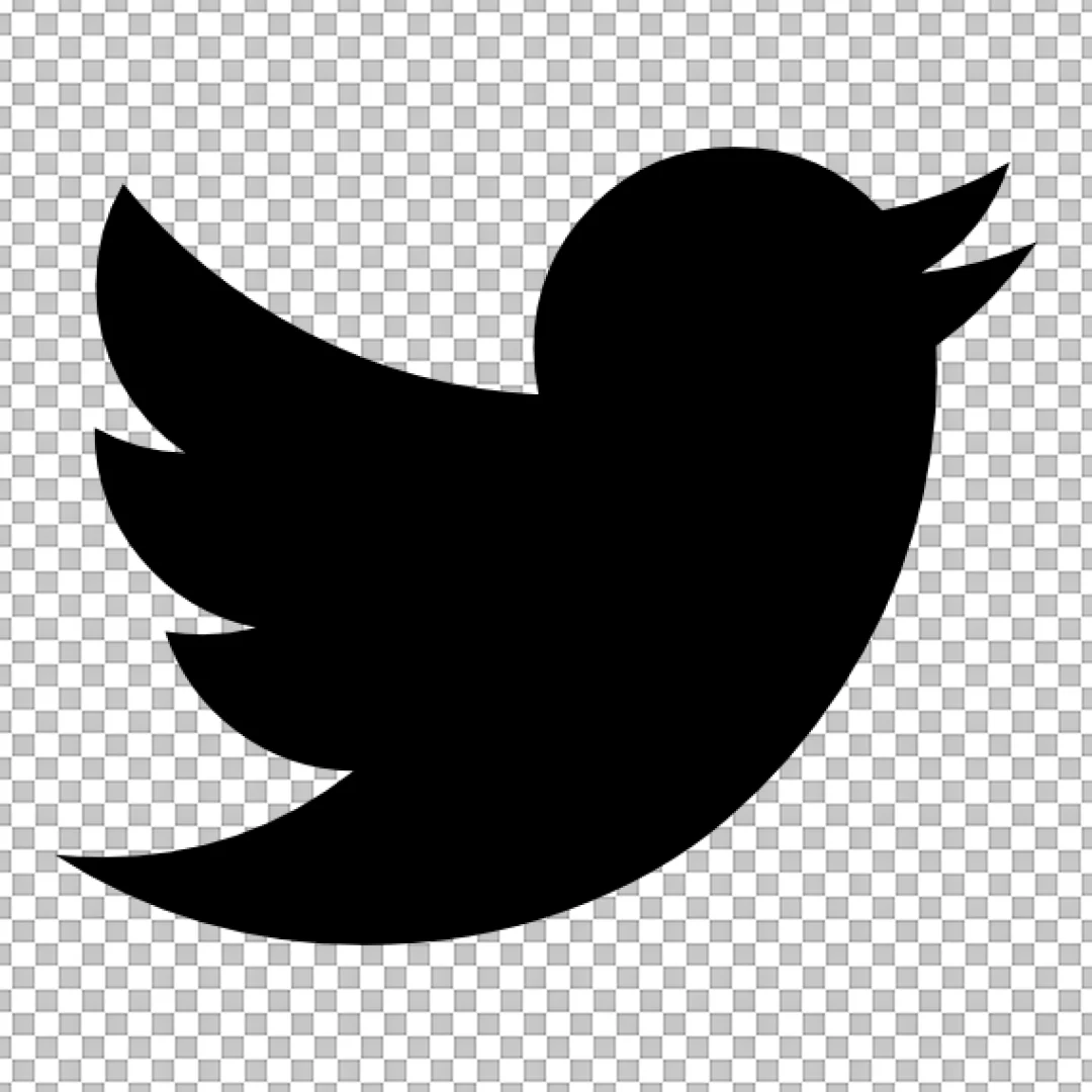 Black Twitter Bird Logo Icon for Social Media Applications