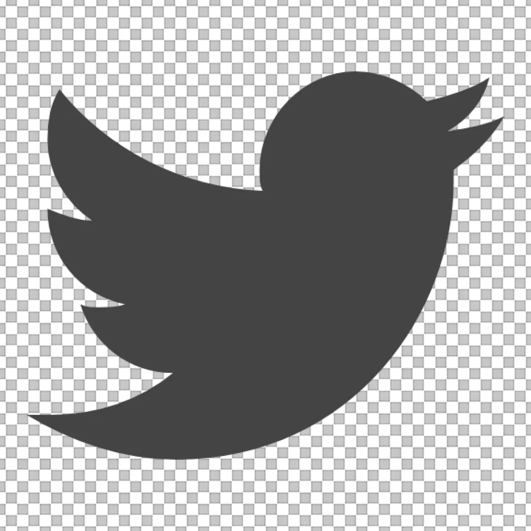 Classic Twitter Bird Logo Silhouette Icon in Dark Gray