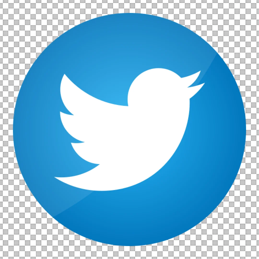 Classic Twitter Bird Social Media Icon Logo in Blue Circle