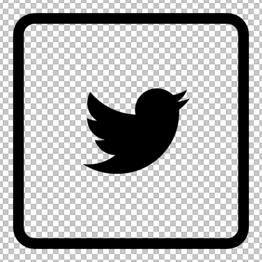 Twitter X Social Media App Icon in Black and White Square Frame