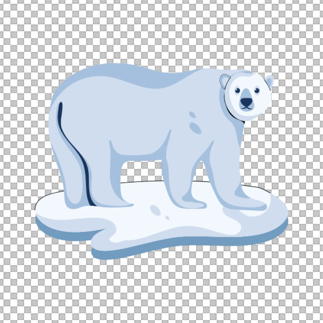 Polar Bear on Ice Illustration PNG