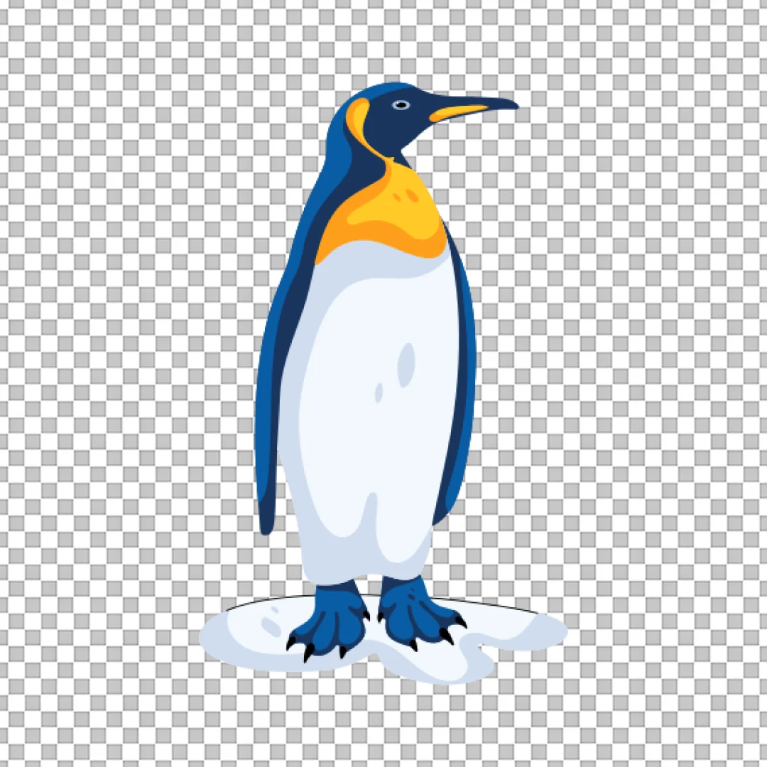 King Penguin Vector Illustration PNG