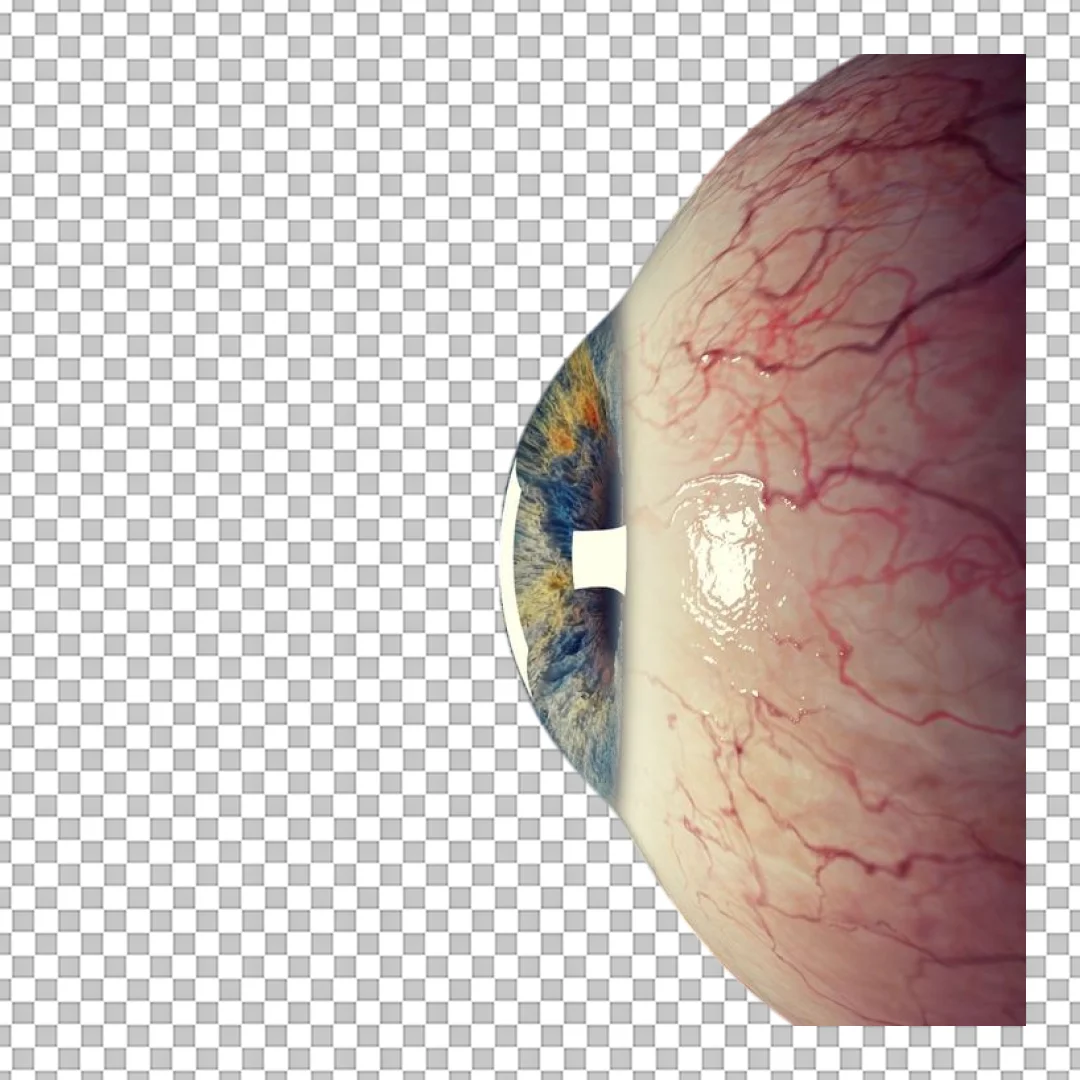 Realistic Human Eyeball Side View PNG