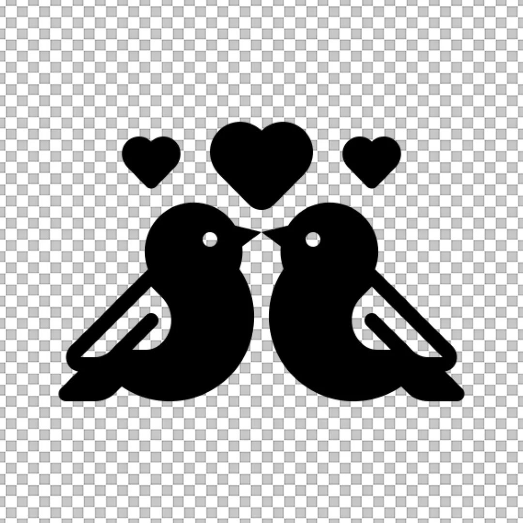 Pure Solid Black Background