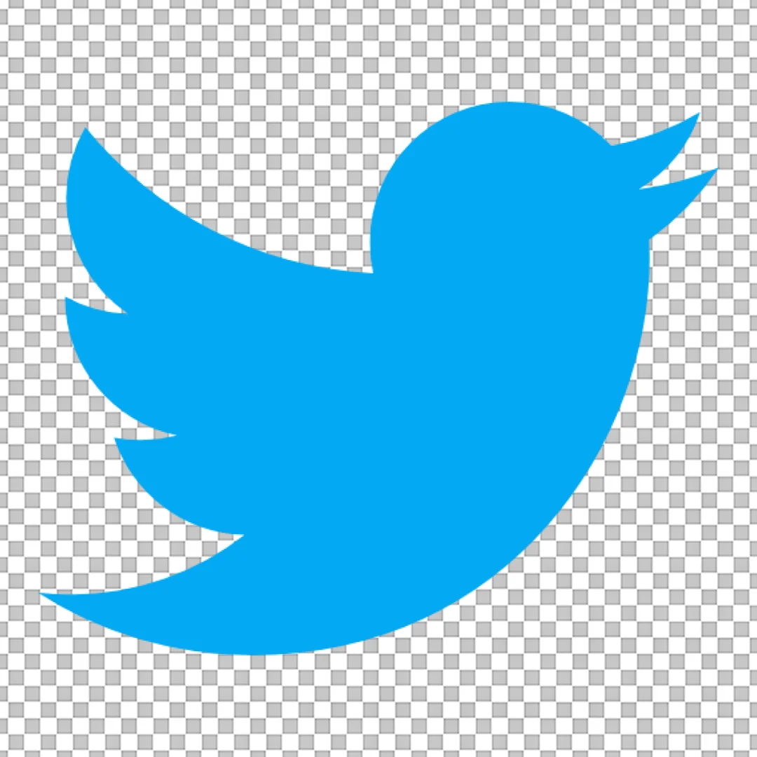 Blue Twitter Bird Logo Icon for Social Media