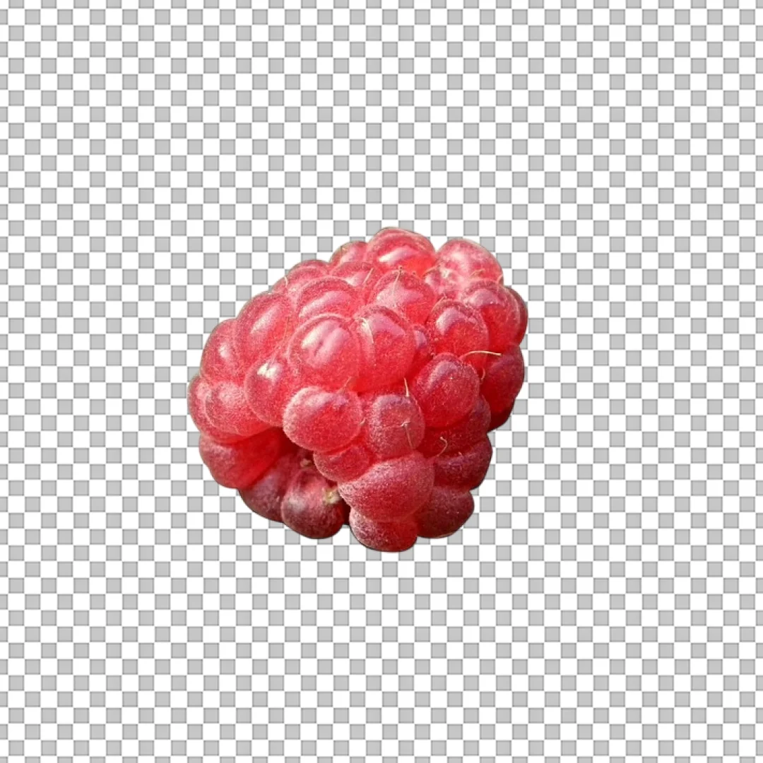 Single Fresh Red Raspberry Fruit PNG