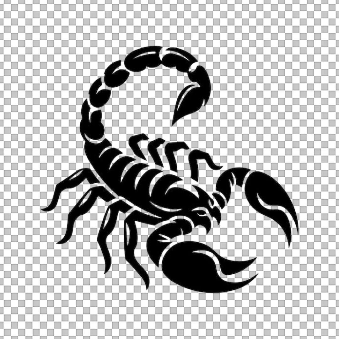 Black Scorpion Tribal Silhouette PNG