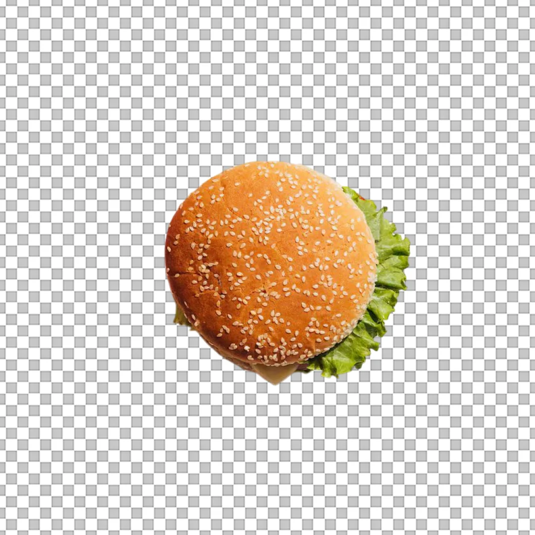 Top View of Sesame Seed Bun PNG
