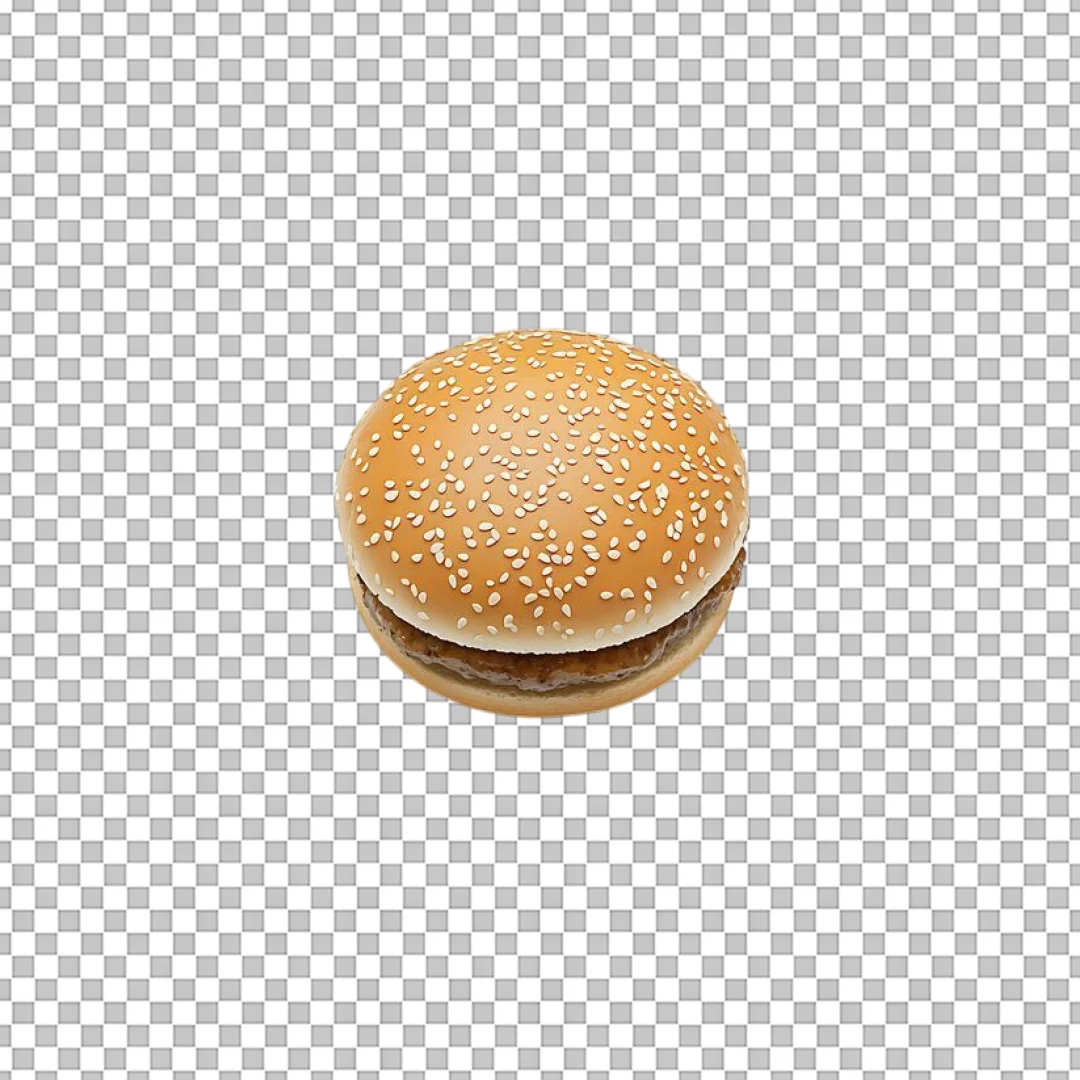 Plain Hamburger on Sesame Seed Bun PNG