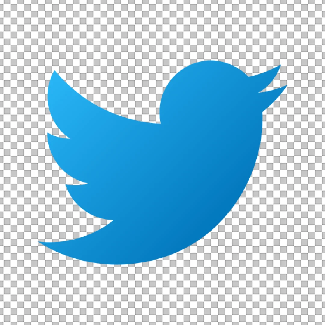 Classic Blue Twitter Bird Logo Icon on Black Background