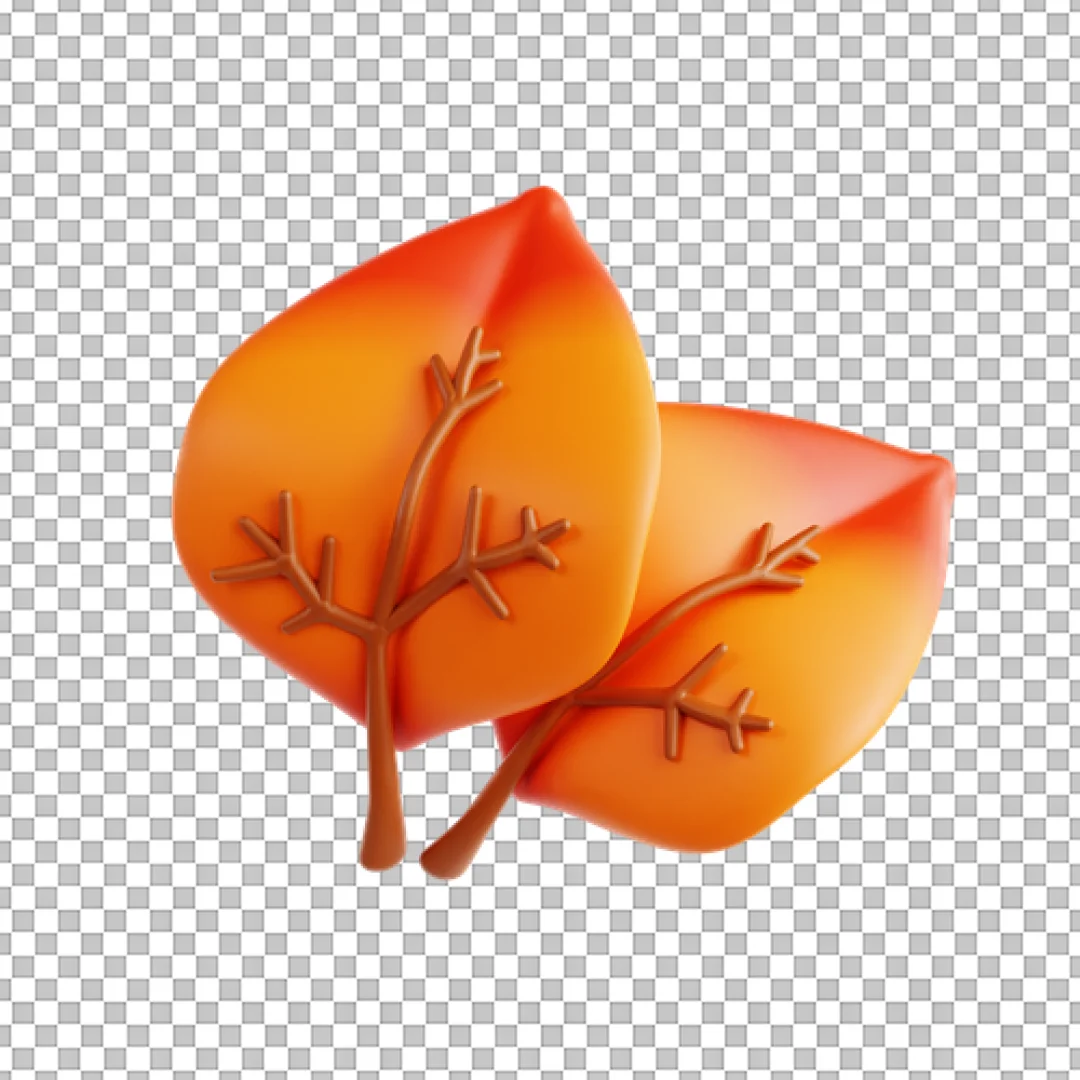 Two Broad Orange Leaves 3D Icon PNG