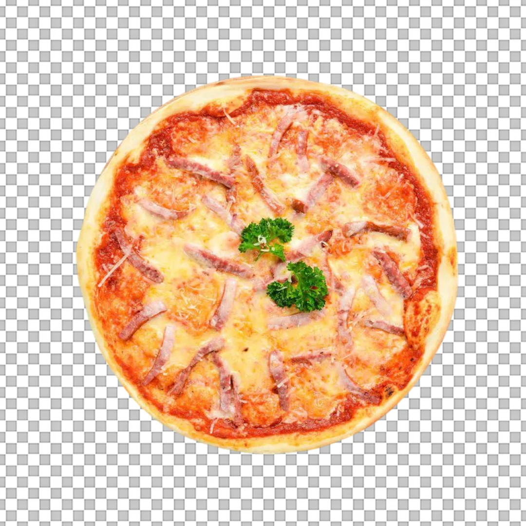 Ham Strip Parsley Pizza PNG