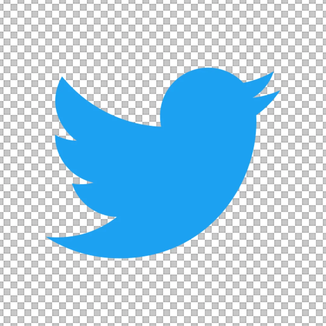 Classic Blue Twitter Bird Social Media Icon