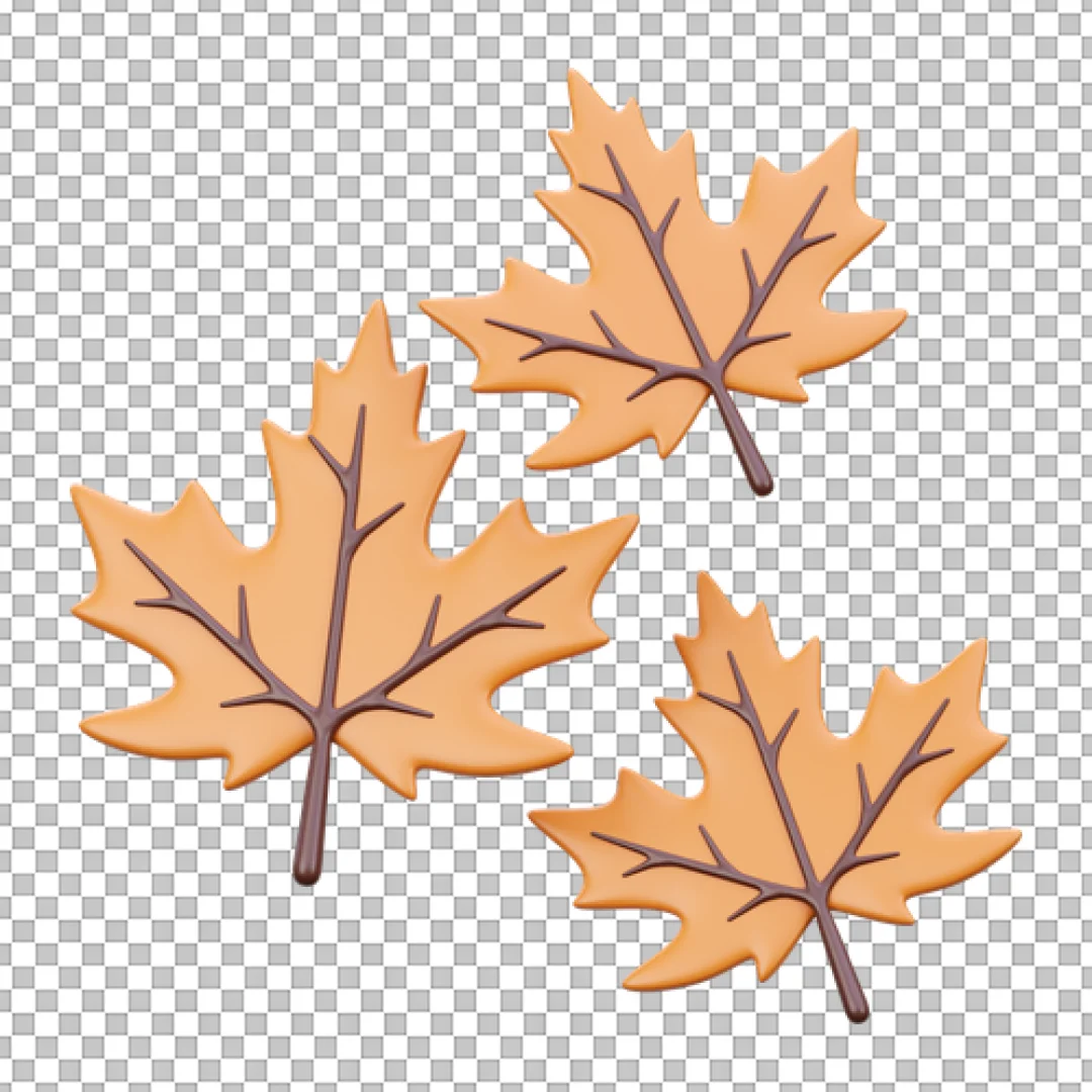 Leaves Maple PNG