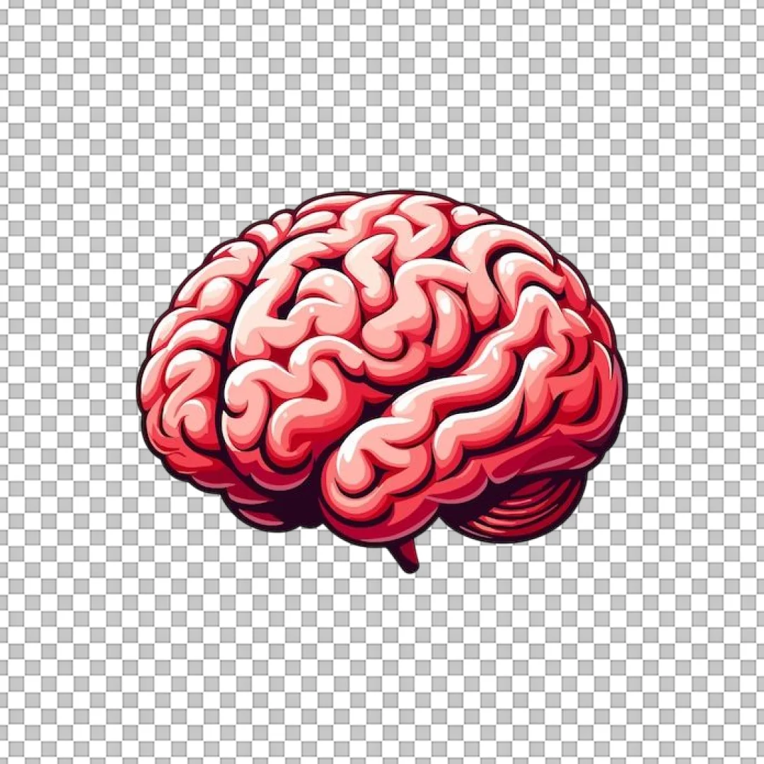 Pink Human Brain Cartoon Illustration PNG