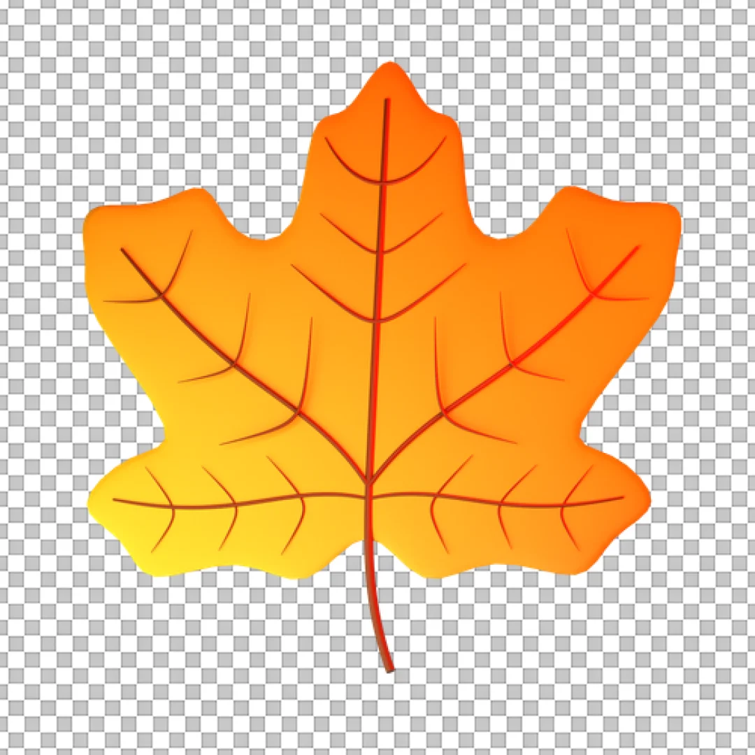 Single Orange Maple Leaf Top View PNG